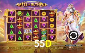 55D